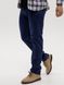 Мужские джинсы регуляр 56 цвет синий ЦБ-00233729 SKT000942027 фото 2