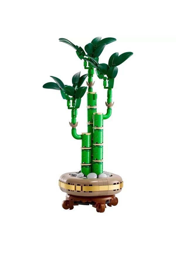 Конструктор LEGO Icons - Бамбук щастя (10344) 10344 ЦБ-00269177 фото