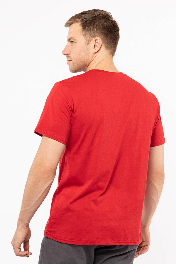 Чоловіча футболка 44 колір червоний ЦБ-00192847 SKT000850418 фото