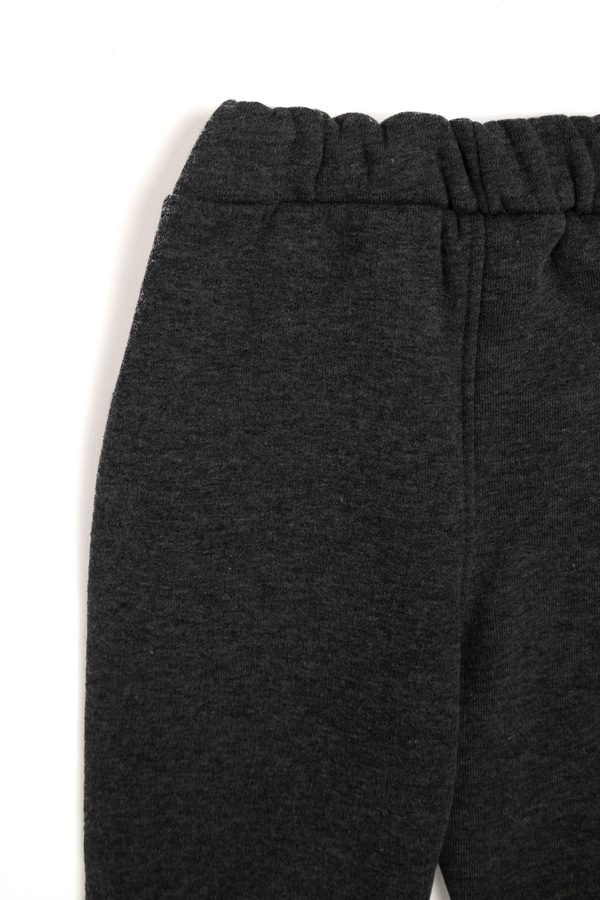 Спортивные штаны для мальчиков 104 цвет серый ЦБ-00230282 SKT000934307 фото
