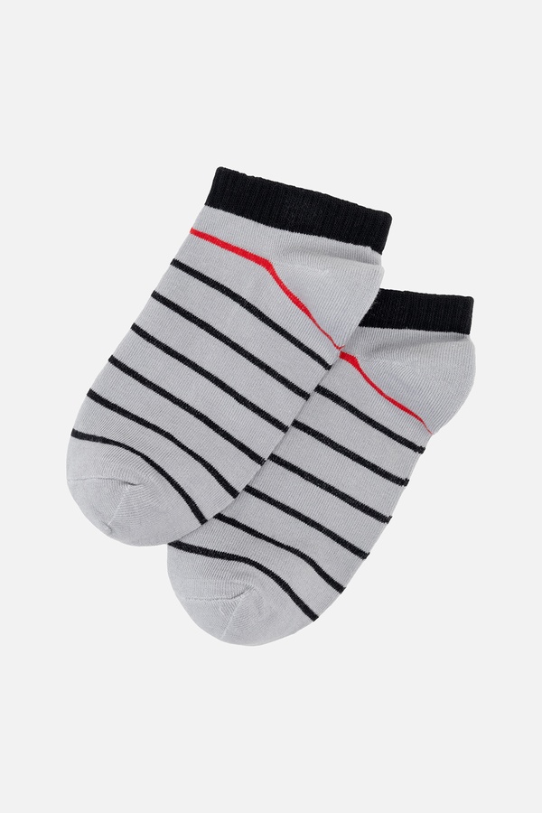 Чоловічі шкарпетки 40-42 колір світло-сірий ЦБ-00245307 SKT000981155 фото
