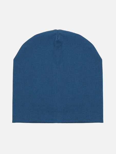 Демисезонная шапка для мальчика 52-54 цвет синий ЦБ-00216985 SKT000901860 фото