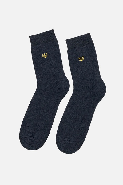 Чоловічі шкарпетки 40-42 колір темно-синій ЦБ-00204434 SKT000876213 фото