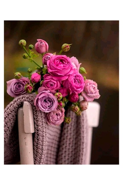 Набір для творчості - алмазна картина "Троянди на стільці" колір різнокольоровий ЦБ-00239567 SKT000959104 фото