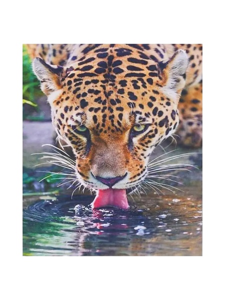 Алмазная мозаика "Леопард", 30х40 см цвет разноцветный ЦБ-00217176 SKT000902199 фото