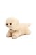 Мягкая игрушка - собачка "Ди" цвет разноцветный ЦБ-00243011 SKT000966471 фото 5