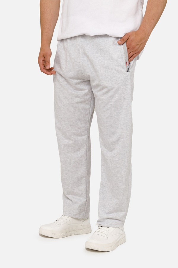 Мужские спортивные штаны 54 цвет серый ЦБ-00252668 SKT000999741 фото