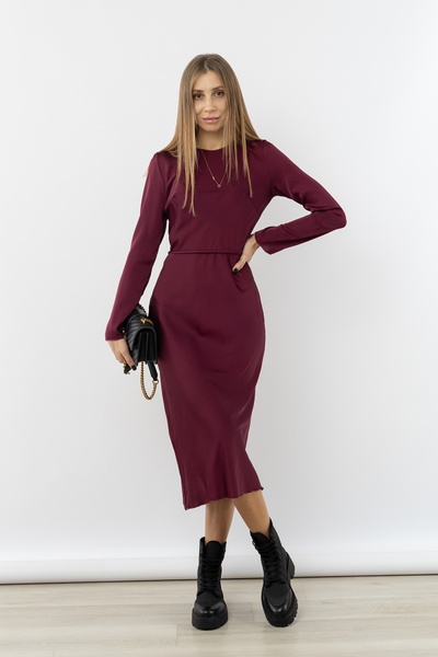 Сукня жіноча з довгим рукавом 50 колір маджента ЦБ-00235471 SKT000946861 фото