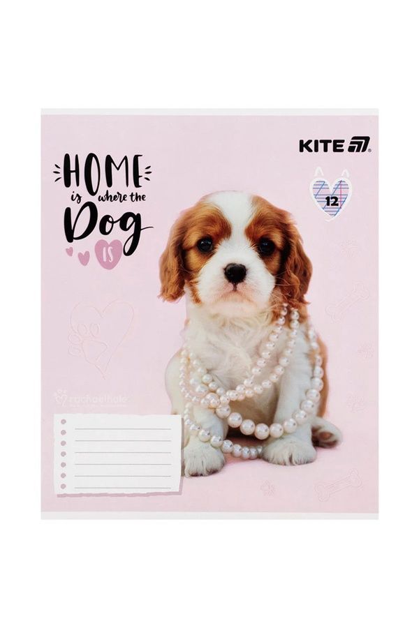 Зошит шкільний Kite на 12 аркушів KITE R25-235 ЦБ-00281159 фото