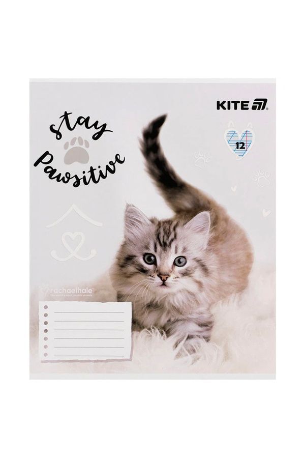 Зошит шкільний Kite на 12 аркушів KITE R25-235 ЦБ-00281159 фото