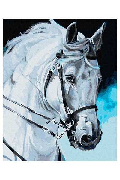 Набор для росписи по номерам - "Гордая лошадь" цвет разноцветный ЦБ-00238596 SKT000956940 фото