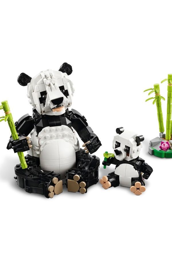 Конструктор LEGO Creator - Дикі тварини: пандові 31165 ЦБ-00283680 фото