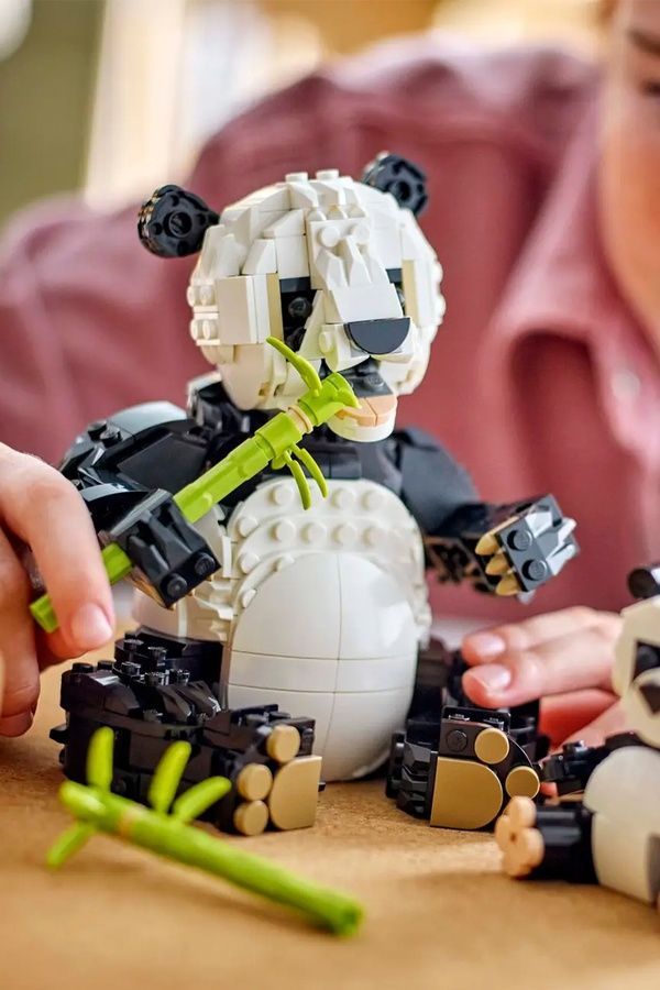 Конструктор LEGO Creator - Дикі тварини: пандові 31165 ЦБ-00283680 фото