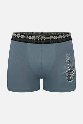 Трусы боксеры для мальчика цвет бирюзовый 152 ЦБ-00294407 фото