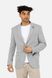Чоловічий піджак 46 колір сірий ЦБ-00245641 SKT000982346 фото 1