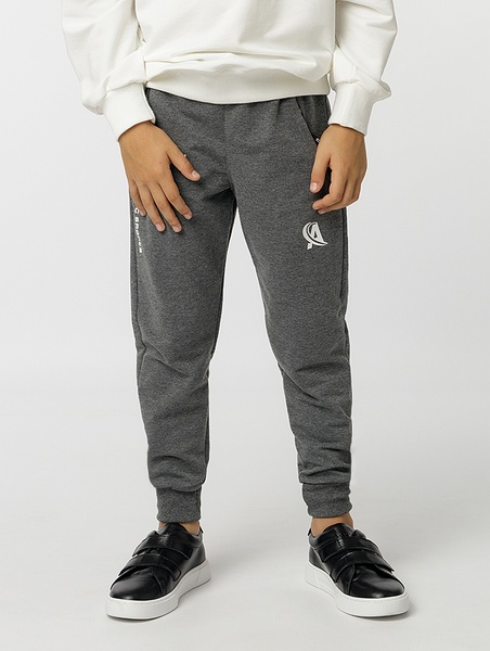 Спортивні штани для хлопчика 152 колір сірий ЦБ-00225066 SKT000921750 фото