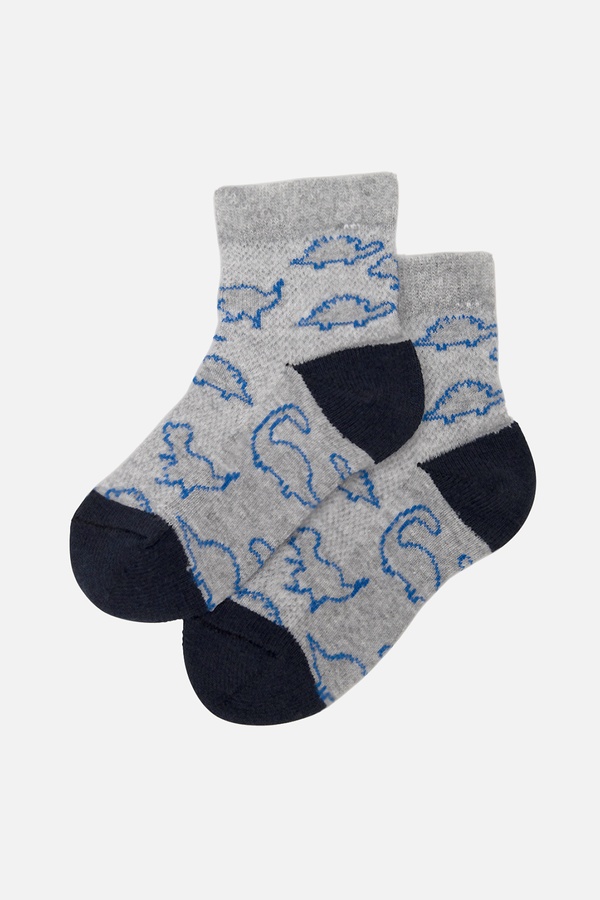 Шкарпетки для хлопчика 23-26 колір сірий ЦБ-00249724 SKT000991707 фото