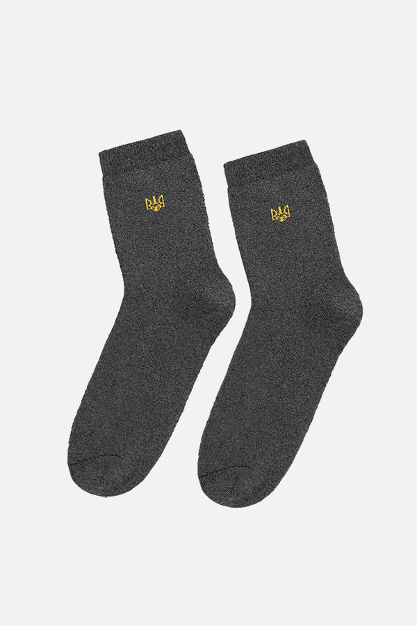 Чоловічі шкарпетки 40-42 колір темно-сірий ЦБ-00204436 SKT000876215 фото