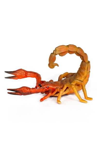 Іграшка фігурка тварини "Сафарі" Скорпіон колір різнокольоровий ЦБ-00237327 SKT000953958 фото