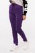 Жіночі спортивні штани 42 колір фіолетовий ЦБ-00198136 SKT000863019 фото 1