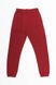 Чоловічі спортивні штани 44 колір бордовий ЦБ-00190375 SKT000842726 фото 3