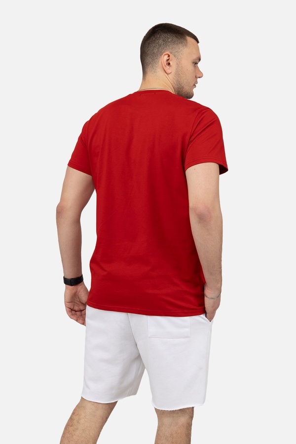 Мужская футболка с коротким рукавом 44 цвет красный ЦБ-00242134 SKT000963611 фото