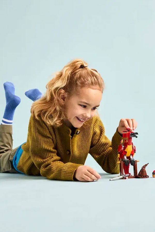 Конструктор LEGO Harry Potter Фоукс: феникс Дамблдора 76448 ЦБ-00279980 фото