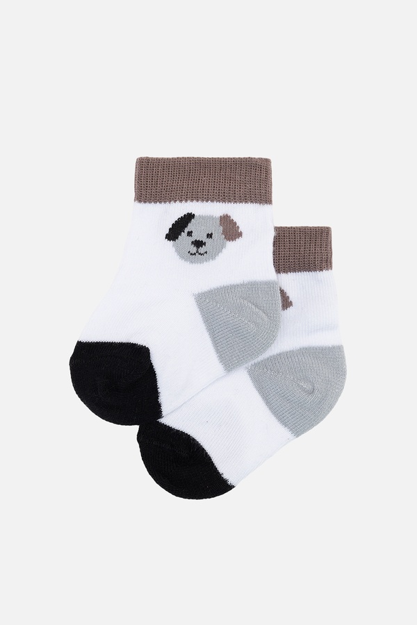Шкарпетки для хлопчика 16-17 колір білий ЦБ-00254926 SKT001006203 фото