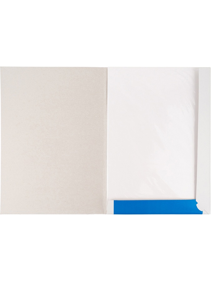 Картон белый 10 листов Kite Dogs цвет разноцветный ЦБ-00223055 SKT000916565 фото