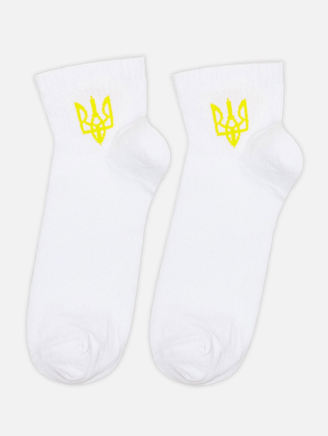Чоловічі шкарпетки 40-42 колір білий ЦБ-00214910 SKT000897361 фото