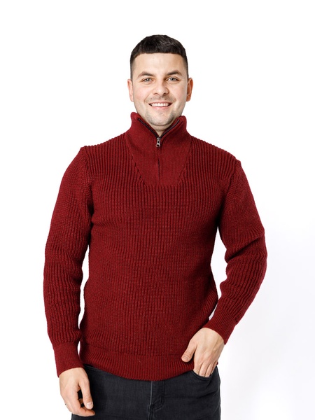 Чоловічий светр 52 колір бордовий ЦБ-00233233 SKT000952723 фото
