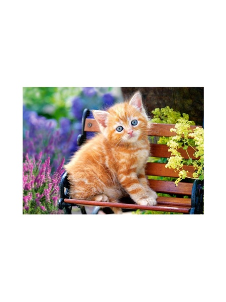 Пазли "Рудий кіт", 500 елементів колір різнокольоровий 00-00079872 SKT000101767 фото