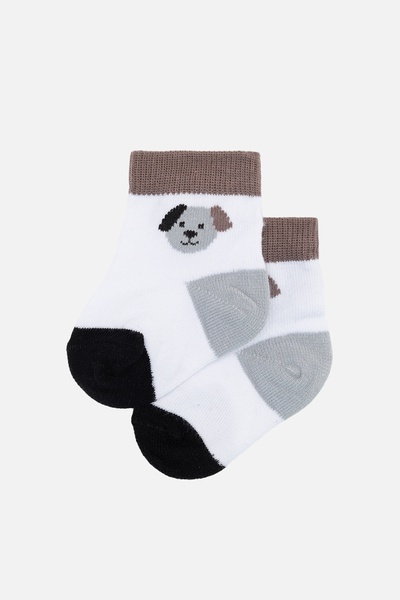 Шкарпетки для хлопчика 17-19 колір білий ЦБ-00254926 SKT001006204 фото