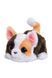 Интерактивная игрушка FURREAL серии &laquo;My Mini's&raquo; - МАЛЕНЬКИЙ КОТЕНЬ FURREAL 28062 ЦБ-00264893 фото 1