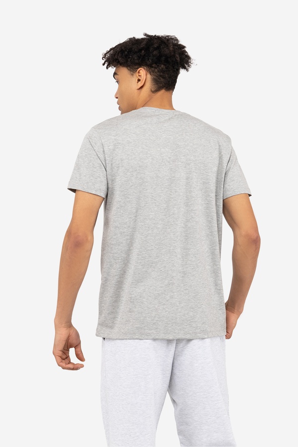 Чоловіча футболка з коротким рукавом 46 колір сірий ЦБ-00243199 SKT000967391 фото