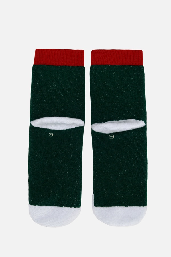 Шкарпетки для хлопчика 31-34 колір зелений ЦБ-00207887 SKT000883730 фото