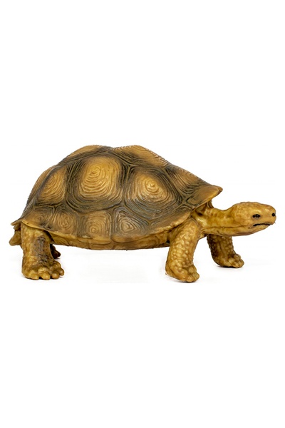 Игрушка фигурка животного "Сафари" Черепаха цвет разноцветный ЦБ-00237331 SKT000953962 фото