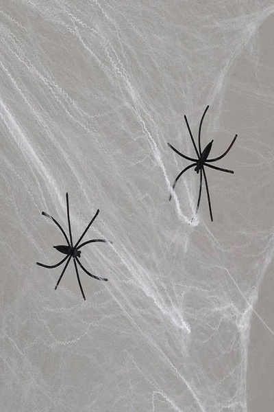 Декор на Хэллоуин - паутина с двумя пауками цвет разноцветный ЦБ-00202610 SKT000872535 фото