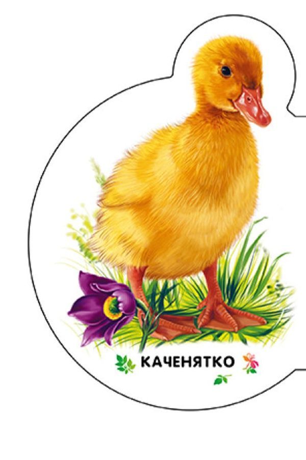 Книжка-розмальовка &laquo;Малята: У селі&raquo; Видавництво РАНОК 479649 ЦБ-00292202 фото