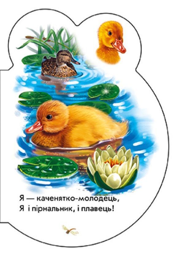 Книжка-розмальовка &laquo;Малята: У селі&raquo; Видавництво РАНОК 479649 ЦБ-00292202 фото