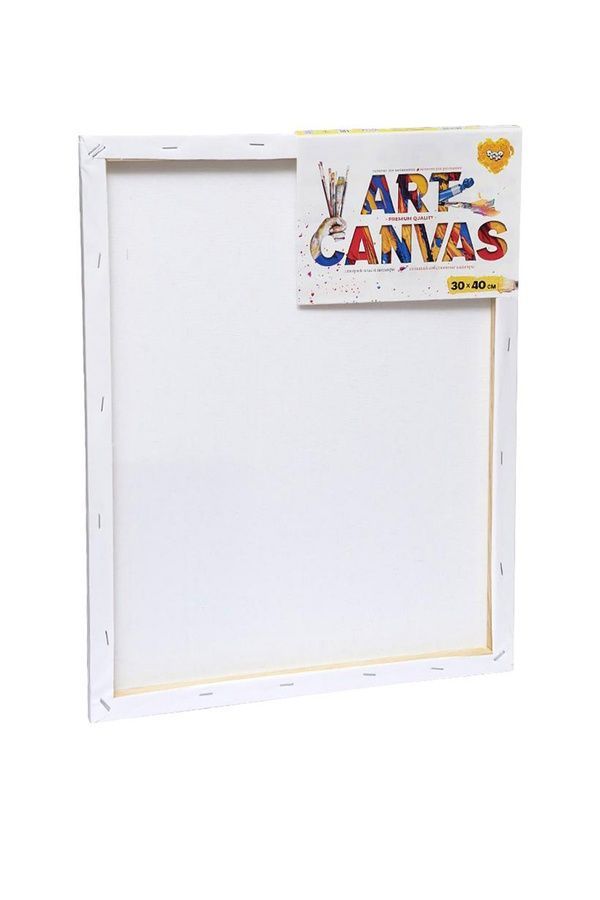 Холст для рисования "Art Canvas" Danko Toys AC-30х40 ЦБ-00271508 фото