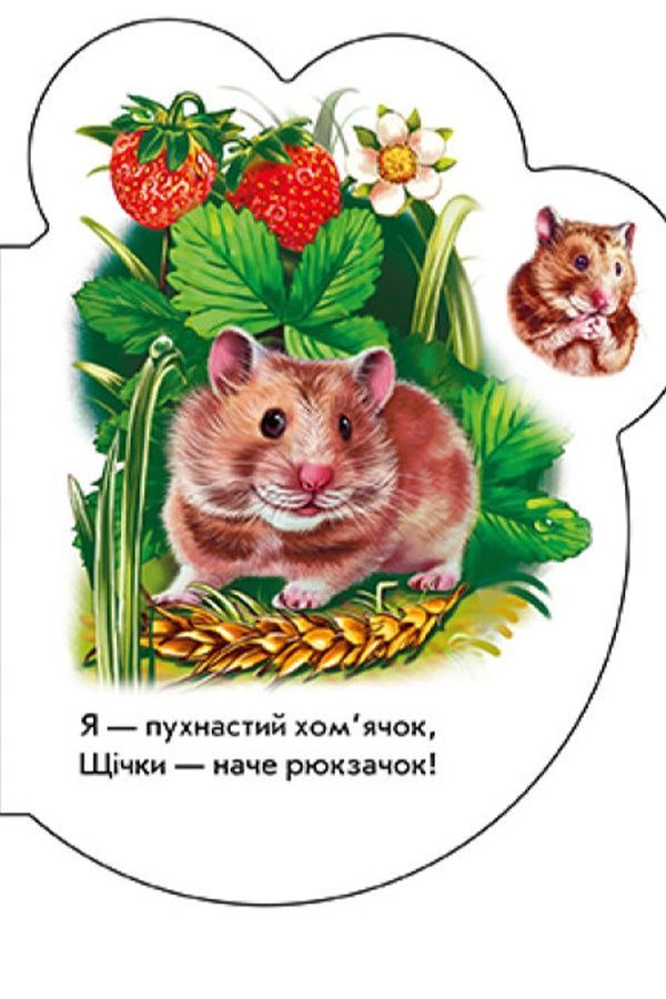 Книжка-розмальовка &laquo;Малята: У селі&raquo; Видавництво РАНОК 479649 ЦБ-00292202 фото