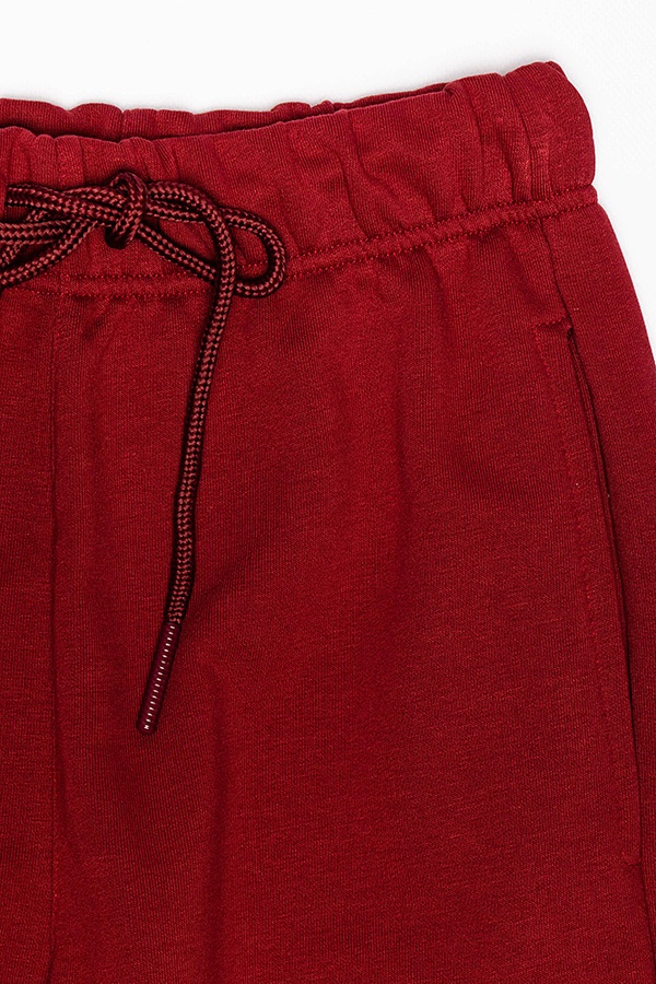 Мужские спортивные штаны 48 цвет бордовый ЦБ-00190375 SKT000842728 фото