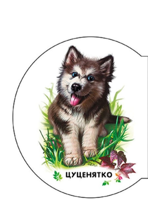 Книжка-розмальовка &laquo;Малята: У селі&raquo; Видавництво РАНОК 479649 ЦБ-00292202 фото