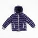 Куртка кортка темно-синя дитяча зимня 110 колір темно-синій ЦБ-00097034