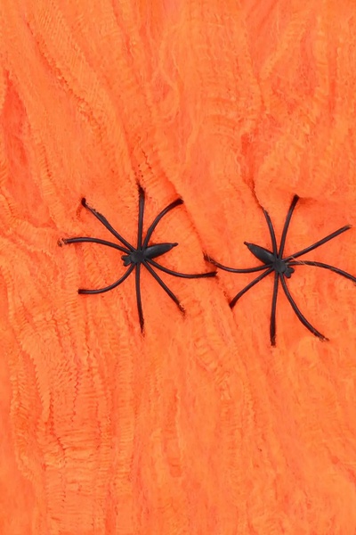 Декор на Хелловін - павутина з двома павуками колір помаранчевий ЦБ-00202611 SKT000872536 фото