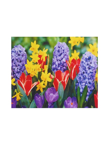 Алмазна мозаїка "Весняні квіти", 30х40 см колір різнокольоровий ЦБ-00217187 SKT000902210 фото