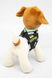 М'яка іграшка пес Патрон колір різнокольоровий ЦБ-00195858 SKT000858185 фото 4