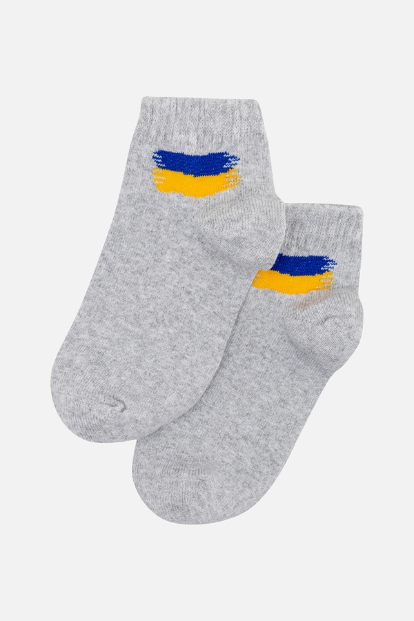 Шкарпетки для хлопчика 27-30 колір сірий ЦБ-00243697 SKT000969090 фото