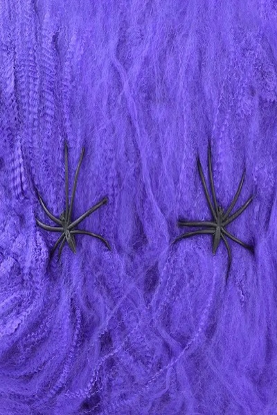 Декор на Хелловін - павутинка з двома павуками колір різнокольоровий ЦБ-00202612 SKT000872537 фото